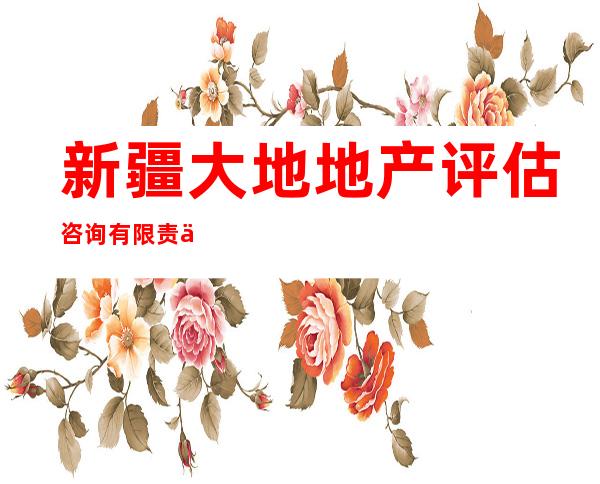 新疆大地地产评估咨询有限责任公司